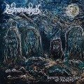 Cover-Bild zum Titel 'Beyond The Cenotaph of Mankind' von 'Runemagick'