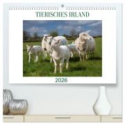 Cover-Bild zum Titel 'Irland erleben - Wo Schafe, Pferde und Kühe das Landschaftsbild prägen (hochwertiger Premium Wandkalender 2026 DIN A2 quer), Kunstdruck in Hochglanz' von 'Claudia Guth'
