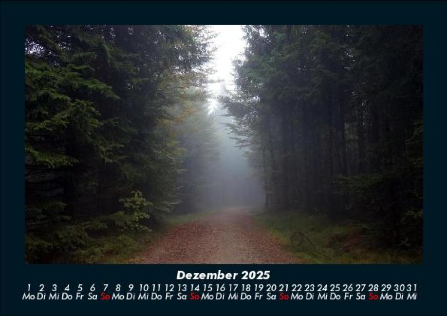 InsideView 4