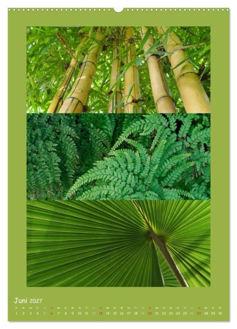 InsideView 10