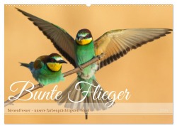 Cover-Bild zum Titel 'Bunte Flieger (Wandkalender 2026 DIN A2 quer), CALVENDO Monatskalender' von 'Frederic Bauer'