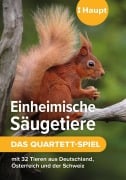 Cover-Bild zum Titel 'Einheimische Säugetiere - das Quartett-Spiel' von ''