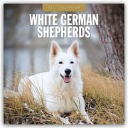 Cover-Bild zum Titel 'White German Shepherds - Weißer Deutscher Schäferhund 2027 - 16-Monatskalender' von 'Robin Red'