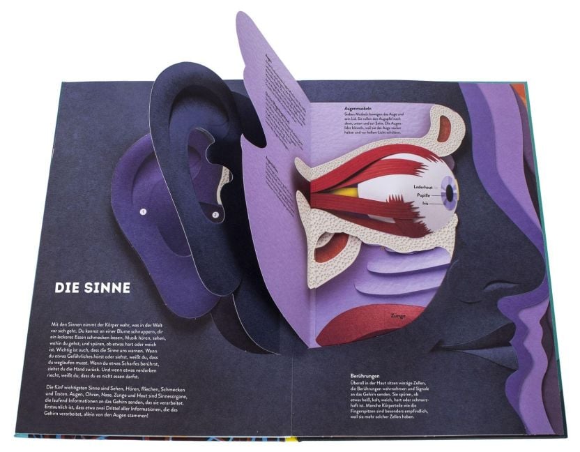 InsideView 5