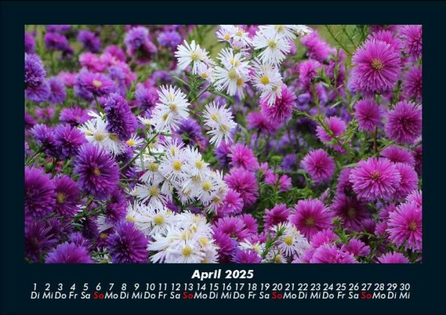InsideView 8