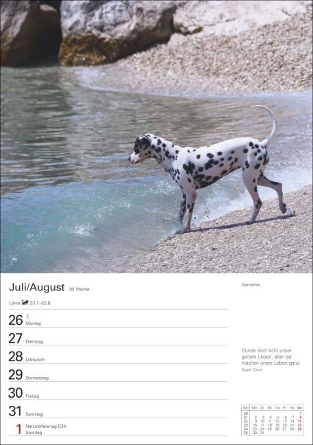 InsideView 11