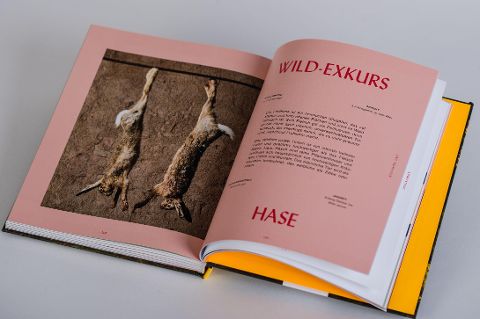 InsideView 11
