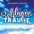 Schlagerträume 2023 - Various