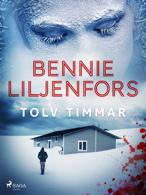 Tolv timmar - Bennie Liljenfors