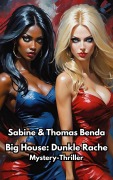 Big House: Dunkle Rache - Sabine Benda, Thomas Benda