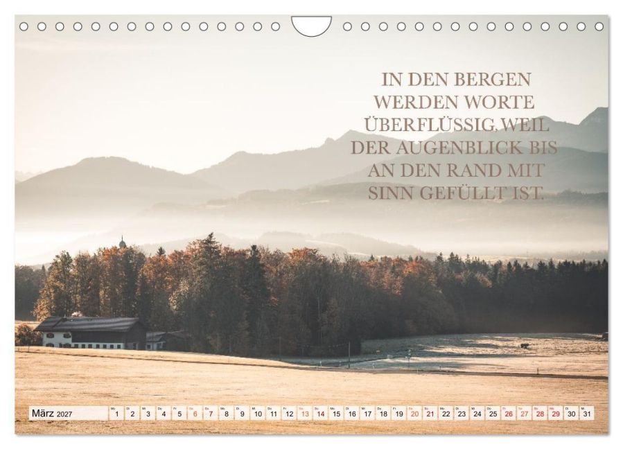 InsideView 8