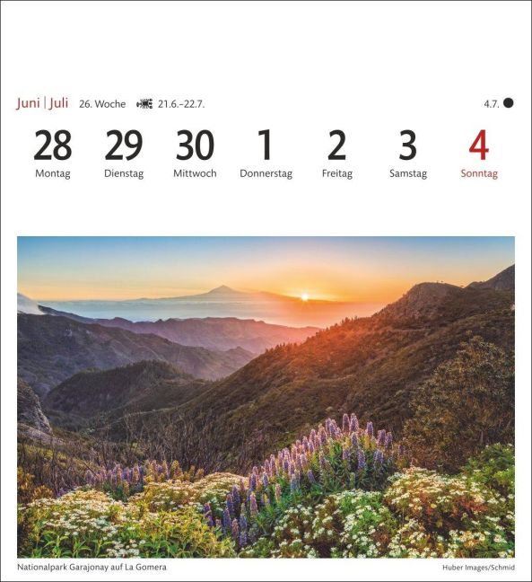 InsideView 7