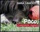 Cover-Bild zum Titel 'Paco, il simpatico ragazzo' von 'Diana Lanciotti'