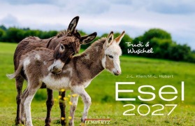 Cover-Bild zum Titel 'Esel 2027' von 'J. -L. Hubert Klein'