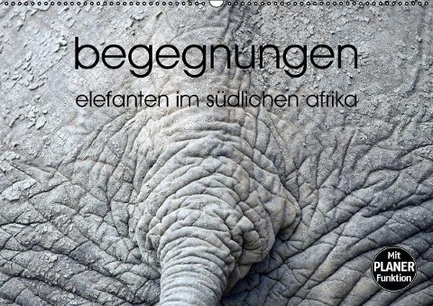 begegnungen - elefanten im südlichen afrika (Wandkalender immerwährend DIN A2 quer) - K. A. Rsiemer
