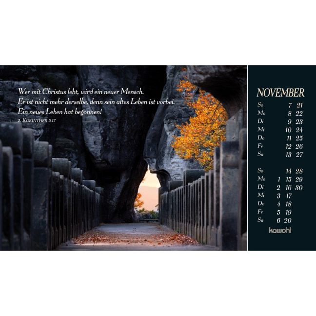InsideView 10