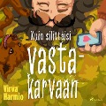 Kuin silittäisi vastakarvaan - Virva Harmio