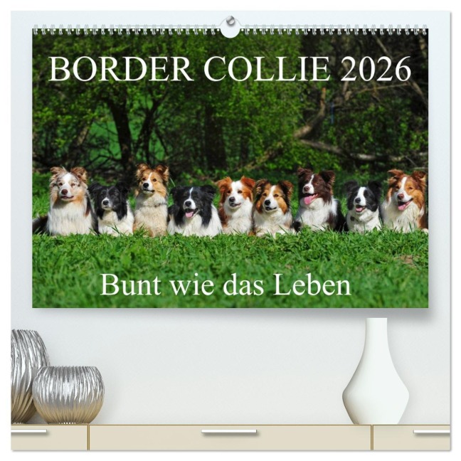 Border Collie 2026 (hochwertiger Premium Wandkalender 2026 DIN A2 quer), Kunstdruck in Hochglanz - Sigrid Starick