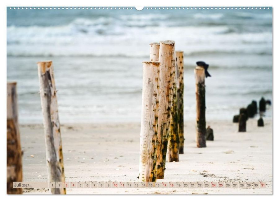 InsideView 12