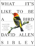 Cover-Bild zum Titel 'What It's Like to Be a Bird' von 'David Allen Sibley'