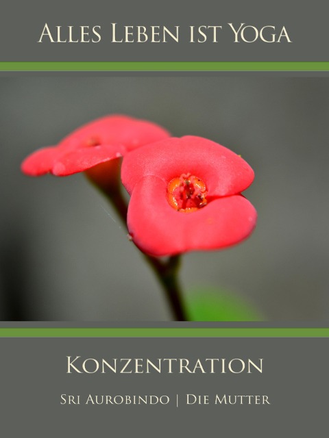 Konzentration - Sri Aurobindo, Die (D. I. Mira Alfassa) Mutter