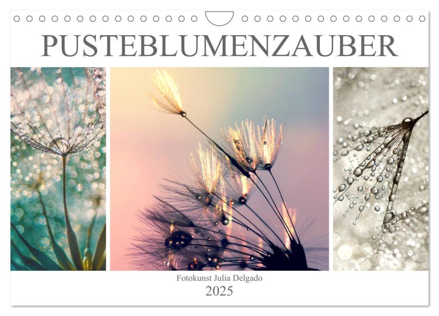 PusteblumenZauber (Wandkalender 2025 DIN A4 quer), CALVENDO Monatskalender - Julia Delgado