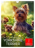 Yorkshire Terrier - ein Hund mit starkem Charakter (Wandkalender 2025 DIN A4 hoch), CALVENDO Monatskalender - Peter Roder