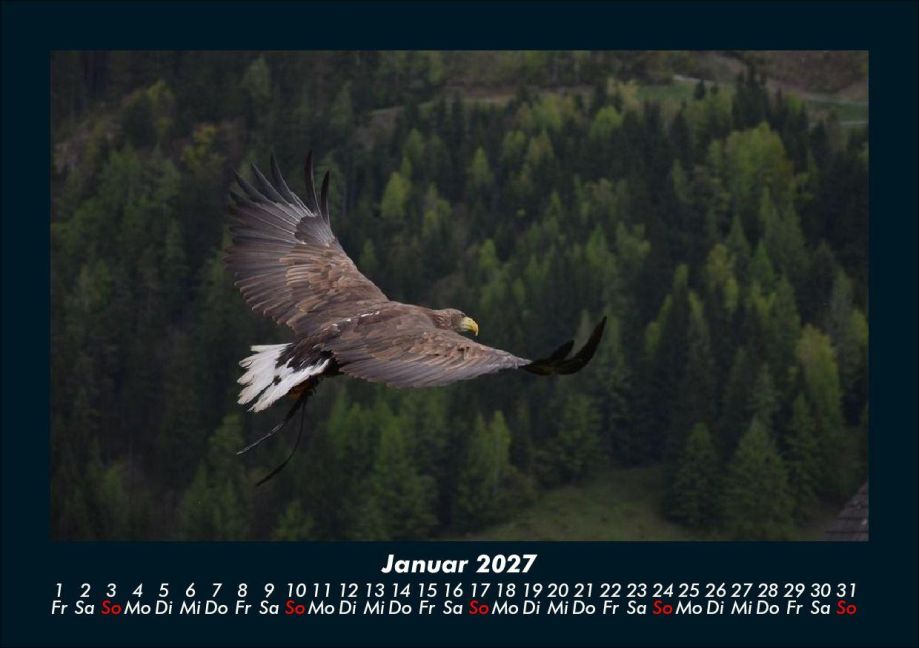 InsideView 5