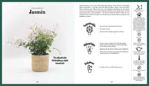 InsideView 3