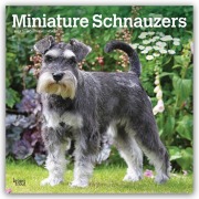 Cover-Bild zum Titel 'Miniature Schnauzers - Zwergschnauzer 2027 - 16-Monatskalender' von 'Browntrout Publishers'