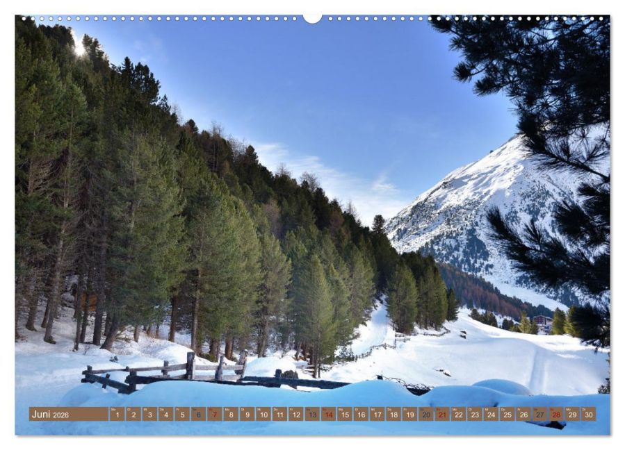 InsideView 11