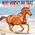 Why Horses Do That 2025 12 X 12 Wall Calendar - Willow Creek Press