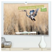 Extrem seltene Reiher (hochwertiger Premium Wandkalender 2026 DIN A2 quer), Kunstdruck in Hochglanz - Frederic Bauer