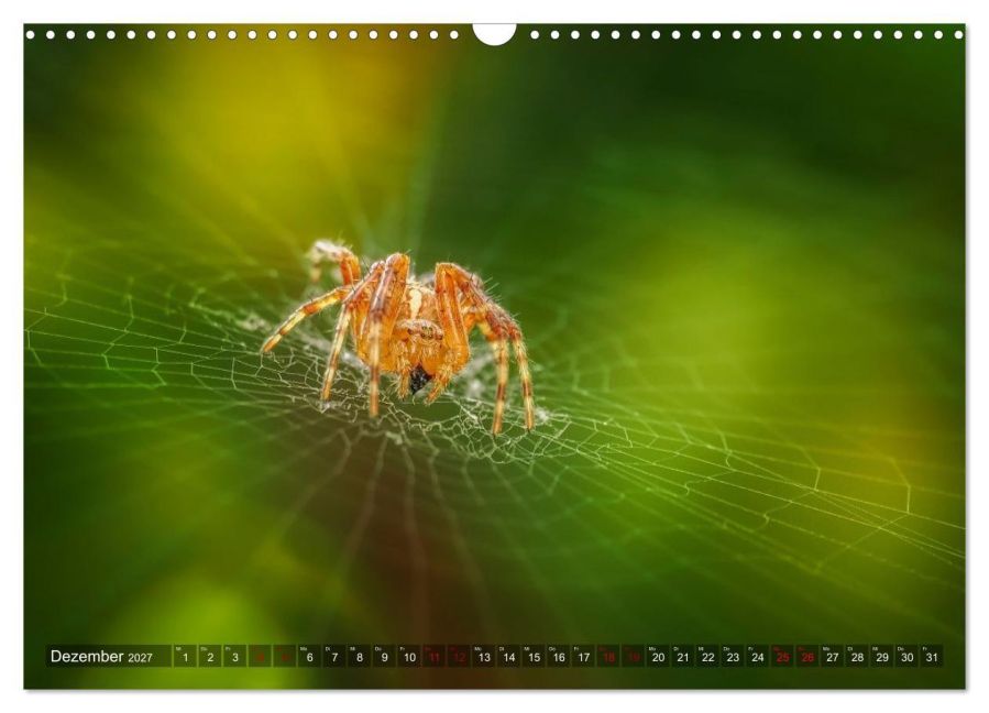 InsideView 4
