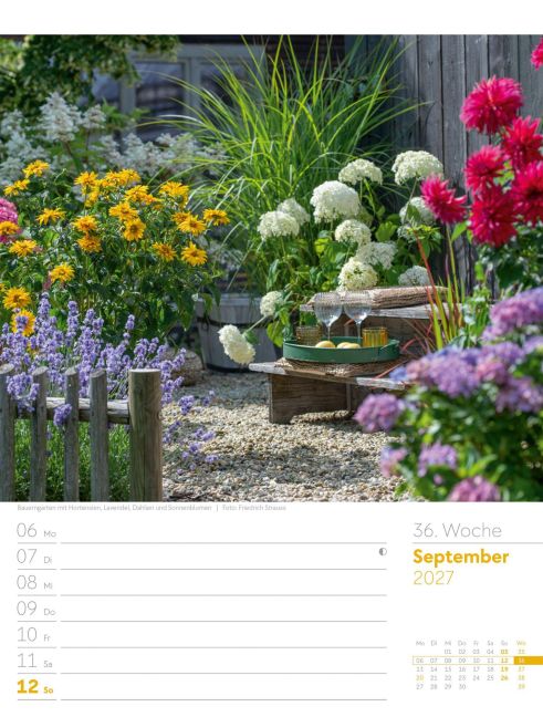 InsideView 40