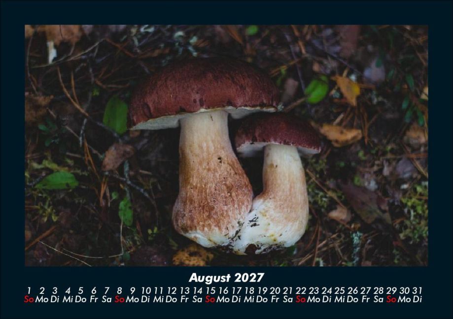 InsideView 12