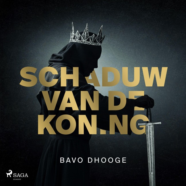 Schaduw van de koning - Bavo Dhooge