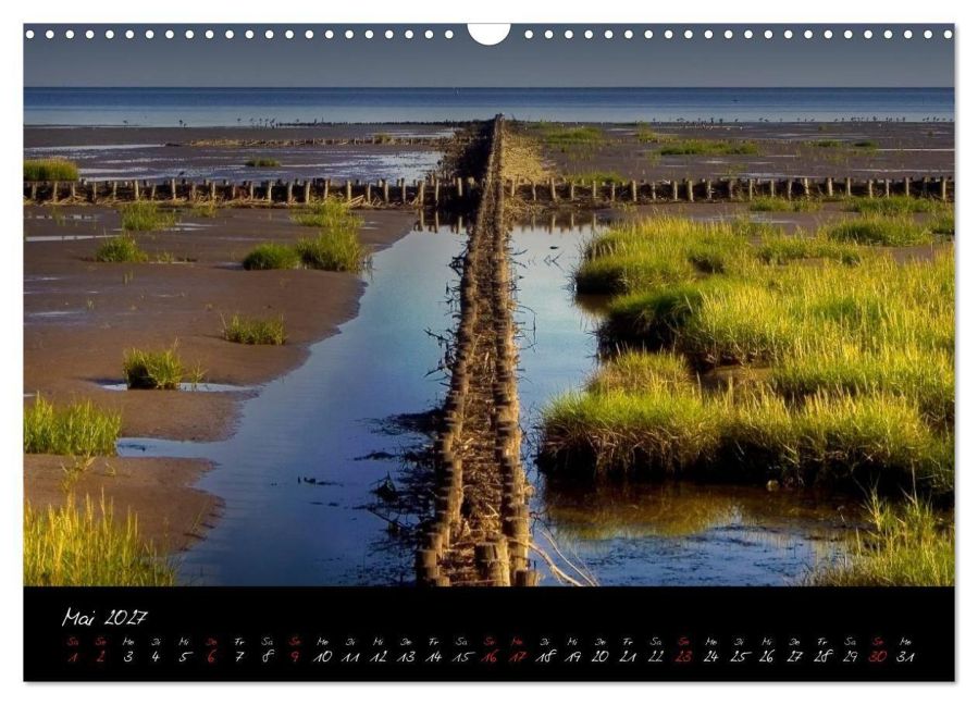 InsideView 10