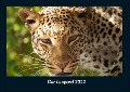 Der Leopard 2022 Fotokalender DIN A4 - Tobias Becker