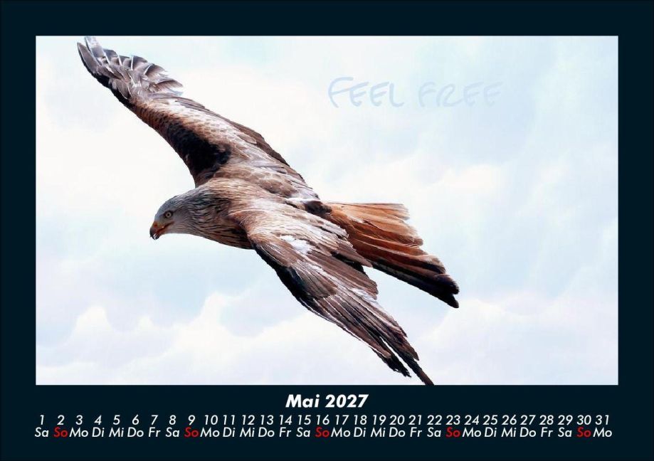 InsideView 9