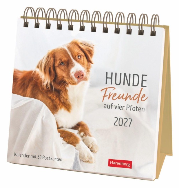 Hunde Premium-Postkartenkalender 2027 - Freunde auf vier Pfoten; Kalender mit 53 Postkarten - 