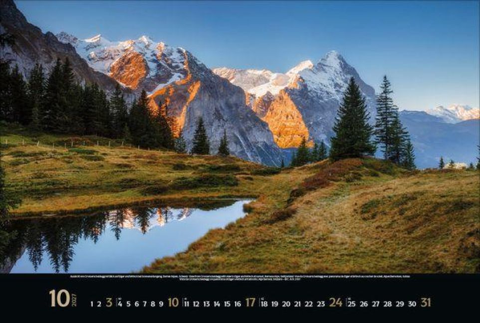 InsideView 10