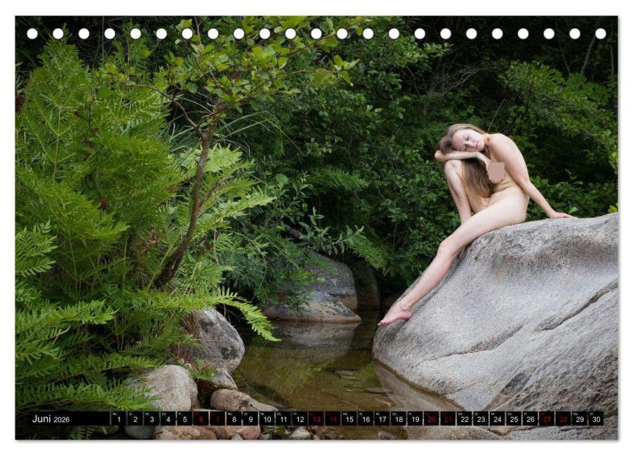 InsideView 11