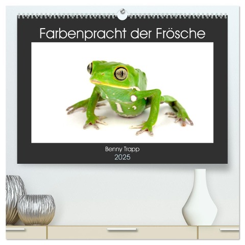 Farbenpracht der Frösche (hochwertiger Premium Wandkalender 2025 DIN A2 quer), Kunstdruck in Hochglanz - Benny Trapp