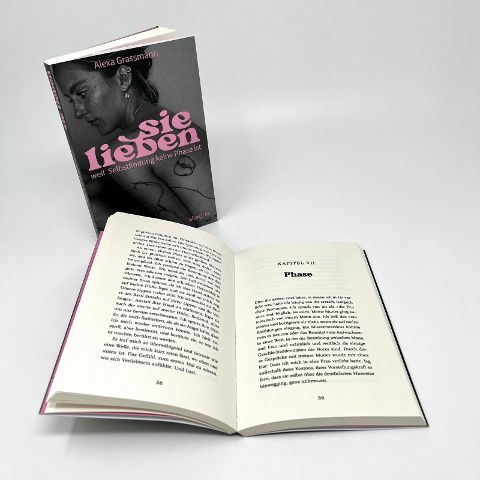 InsideView 6