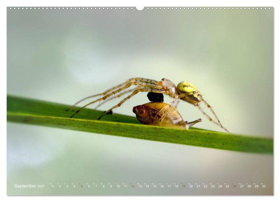 InsideView 14