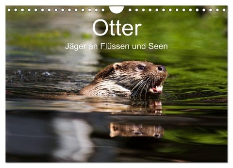 Otter - Jäger an Flüssen und Seen (Wandkalender 2025 DIN A4 quer), CALVENDO Monatskalender - Cloudtail The Snow Leopard