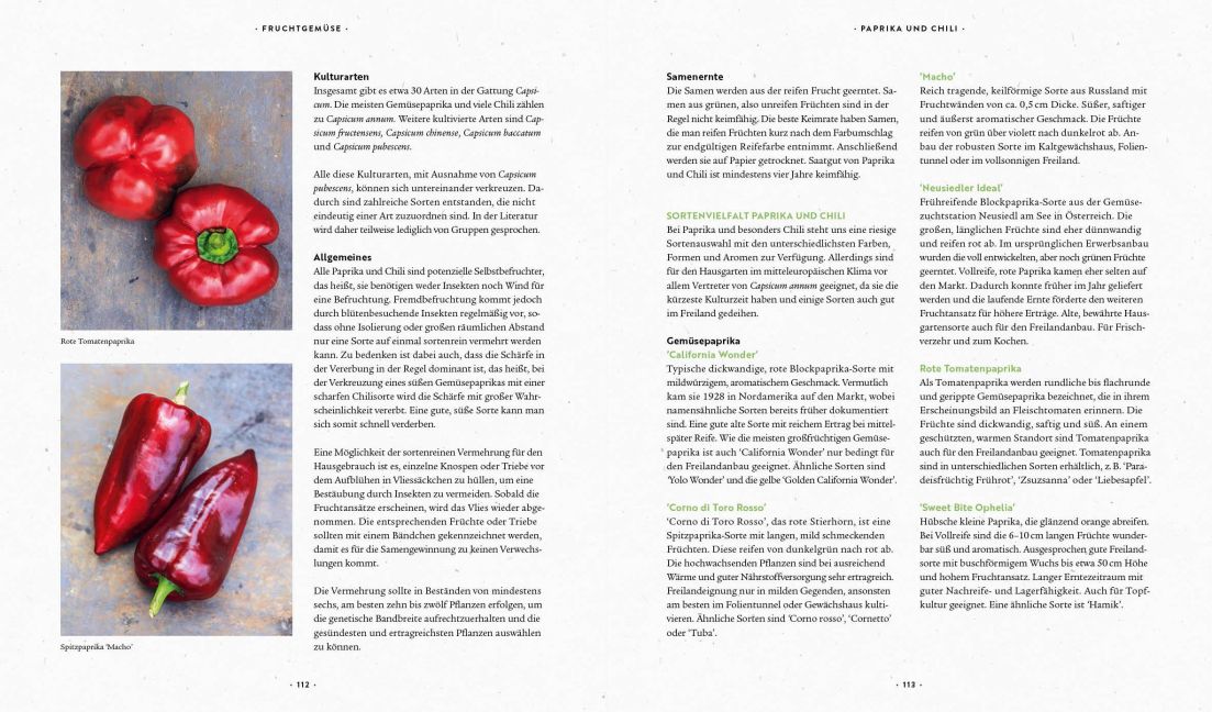 InsideView 11