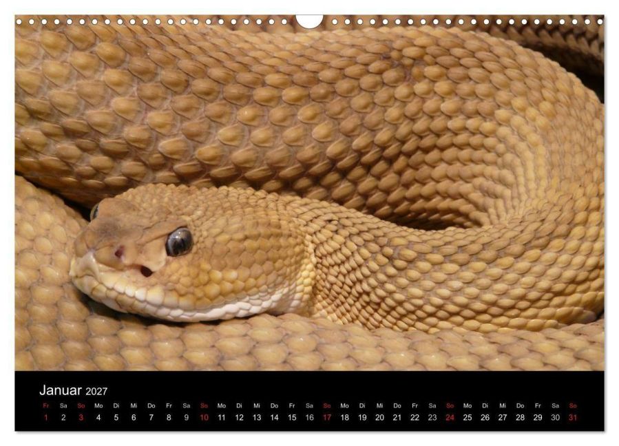 InsideView 6