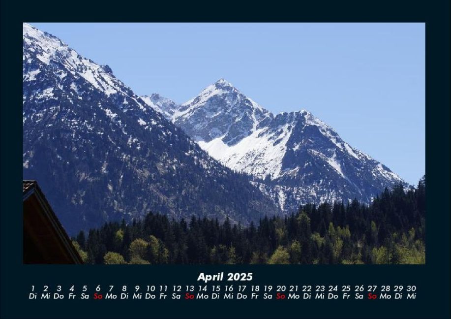 InsideView 8
